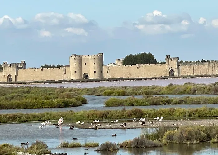 Boutique Le Medieval - Parking- Accueil Vélo Hotel Aigues-Mortes