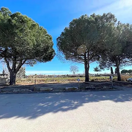Boutique Le Medieval - Parking- Accueil Vélo 2* Aigues-Mortes